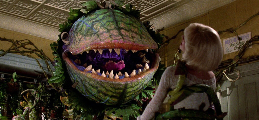 Home Hazards: 12 Plants that Could Put You at Risk!