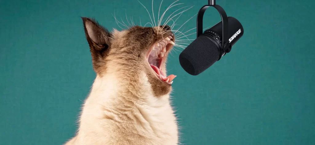 Singer, Kinabog ng Operatic Cat