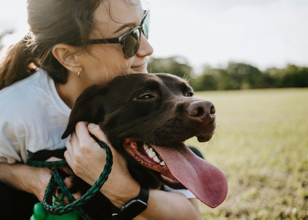 How Humans Altered the Dogs’ Brains