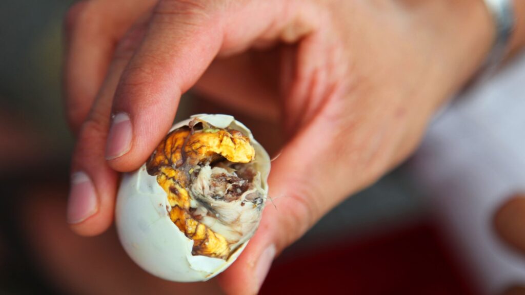 Balut: Exploring the Unique Delicacy of the Philippines