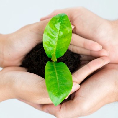 Sustainable Living: A guide on How to Embrace Eco-Friendly Habits in Daily Life