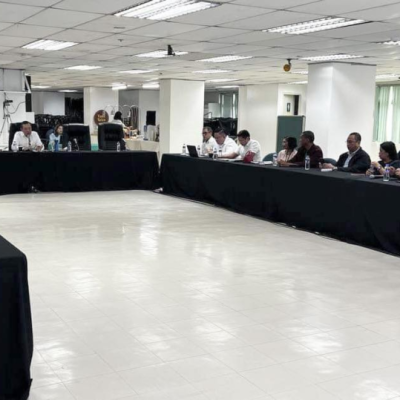 NEA evaluates Primelectric/NEPC, CENECO, joint venture agreement